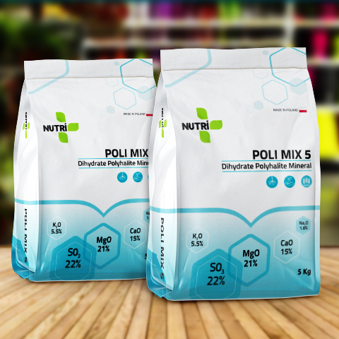 Brand Packaging Design